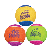 Kong - AirDog Squeakair Birthday Tennis Balls